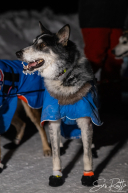 2026 McGrath Checkpoint