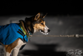 2026 McGrath Checkpoint