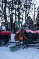 2026 McGrath Checkpoint