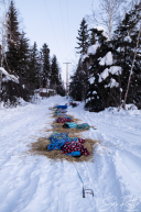 2026 McGrath Checkpoint