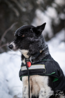 2026 McGrath Checkpoint