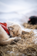 2026 McGrath Checkpoint