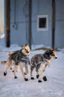 2026 McGrath Checkpoint