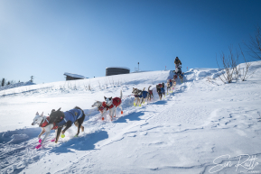 2026 McGrath Checkpoint