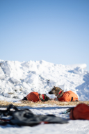 2026 McGrath Checkpoint