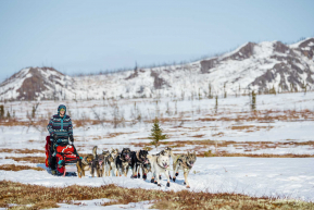 Jessie Holmes Heading Into Iditarod 2 - 2023