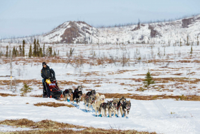 Richie Diehl Heading Into Iditarod - 2023