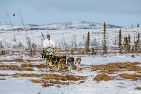 Ryan Redington A Mile Out - 2023 Iditarod Checkpoint