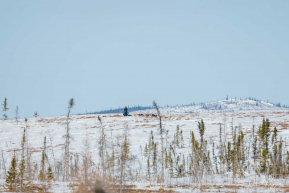 Over the Hill - 2023 Iditarod