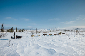 Peter Kaiser Heading into Iditarod - 2023