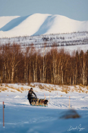 Peter Kaiser Leaving Iditarod Checkpoint 2 - 2023