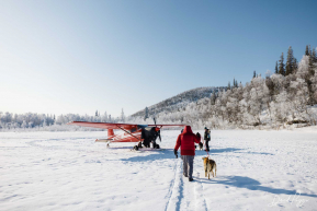 Returning Dogs - 2023 Iditarod