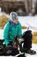 Veterinarian Check on Dogs