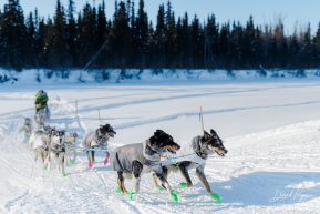 Ryan Redington Arrives in Nikolai