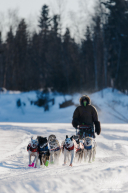 Keaton Loebrich Arriving to Nikolai