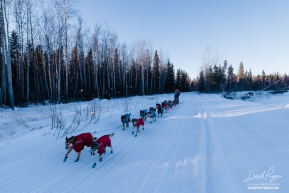 Lauro Eklund Leaving Nikolai