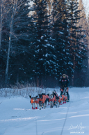 Rohn Buser Leaving Nikolai