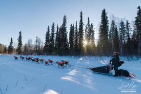 Rohn Buser Heads to McGrath