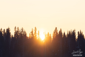 Last Light in Nikolai