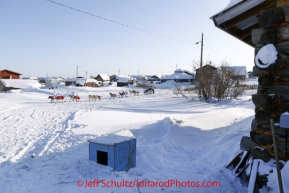 Sunday March 11, 2012  Colleen Robertia runs through the streets leaving the Kaltag checkpoint. Iditarod 2012.