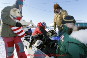 Sunday March 11, 2012    Volunteers take dropped dogs in a sled via snow-machine to the airport at the Kaltag checkpoint. Iditarod 2012.