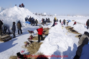 Sunday March 11, 2012  A small crowd congregates around the resting dog teams at the Unalakleet checkpoint. Iditarod 2012.