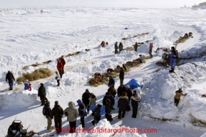 Sunday March 11, 2012  A small crowd congregates around the resting dog teams at the Unalakleet checkpoint. DeeDee Jonrowe's team is in the foreground. Iditarod 2012.