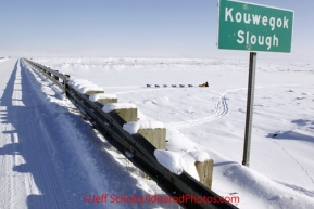 Sunday March 11, 2012 Mitch Seavey, shortly after leaving Unalakleet mid-day Sunday, passes under the Kouwegok Slough bridge. Iditarod 2012.