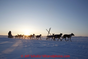 Kelley Griffin runs on the trail at sunrise as she gets closer to the Unalakleet checkpoint on Monday morning March 11, 2013.Iditarod Sled Dog Race 2013Photo by Jeff Schultz copyright 2013 DO NOT REPRODUCE WITHOUT PERMISSION