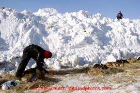 5-year old Harmony Jackson watches Michelle Phillips  from a snow berm used to block the wind as Michelle boots her dogs the Shaktoolik checkpoint on Monday March 11, 2013.Iditarod Sled Dog Race 2013Photo by Jeff Schultz copyright 2013 DO NOT REPRODUCE WITHOUT PERMISSION