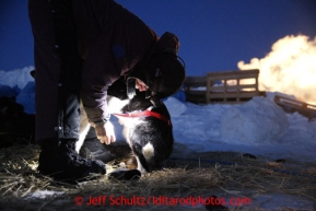 Bob Bundtzen boots his dogs at dawn as he prepares to leave the Unalakleet checkpoint on Monday March 11, 2013.Iditarod Sled Dog Race 2013Photo by Jeff Schultz copyright 2013 DO NOT REPRODUCE WITHOUT PERMISSION