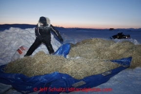 Iditarod volunteer Paul Rudger moves used straw into a pile before dawn at the Unalakleet checkpoint on Monday March 11, 2013.Iditarod Sled Dog Race 2013Photo by Jeff Schultz copyright 2013 DO NOT REPRODUCE WITHOUT PERMISSION