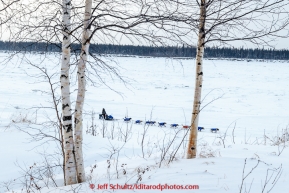 Lachlan Clarke runs down the Yukon river after leaving the Tanana checkpoint on Wednesday morning  March 11th during the 2015 Iditarod.(C) Jeff Schultz/SchultzPhoto.com - ALL RIGHTS RESERVED DUPLICATION  PROHIBITED  WITHOUT  PERMISSION