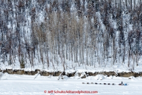 A team runs down the trail next to the bank on the Yukon River between Tanana and Ruby on Wednesday afternoon  March 11th during the 2015 Iditarod.(C) Jeff Schultz/SchultzPhoto.com - ALL RIGHTS RESERVED DUPLICATION  PROHIBITED  WITHOUT  PERMISSION