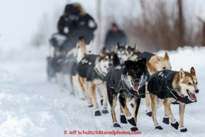 Dallas Seavey's dogs leading him to the Ruby checkpoint of the Iditarod. On March 11, 2015.(C) Jeff Schultz/SchultzPhoto.com - ALL RIGHTS RESERVED DUPLICATION  PROHIBITED  WITHOUT  PERMISSION