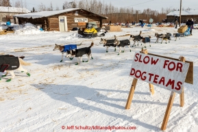 Lev Shvarts runs down the road leaving the Tanana checkpoint on Wednesday afternoon March 11th during the 2015 Iditarod.(C) Jeff Schultz/SchultzPhoto.com - ALL RIGHTS RESERVED DUPLICATION  PROHIBITED  WITHOUT  PERMISSION