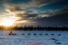 Rick Casillo runs on the trail at sunset on his way to the Cripple checkpoint on Thursday March 10 during Iditarod 2016.  Alaska.    Photo by Jeff Schultz (C) 2016  ALL RIGHTS RESERVED