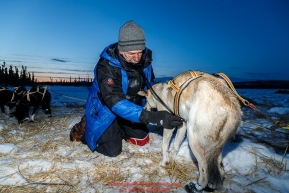 Veterinarian Ron Hallstrom checks Tore Albrigtsen dogs at dawn at the Cripple checkpoint on Friday March 11 during Iditarod 2016.  Alaska.    Photo by Jeff Schultz (C) 2016  ALL RIGHTS RESERVED
