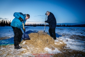 Volunteer checkers Peter Basilides and Chris Kelley rake straw after a team left at dawn at the Cripple checkpoint on Friday March 11 during Iditarod 2016.  Alaska.    Photo by Jeff Schultz (C) 2016  ALL RIGHTS RESERVED