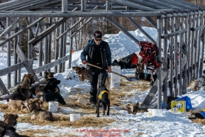 Jeff King scoops poop while his dogs rest during his 24-hour layover at Ruby during Iditarod 2016.  Alaska.    Photo by Jeff Schultz (C) 2016  ALL RIGHTS RESERVED