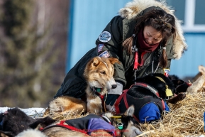 Volunteer vet Justine Lee examines a Kelly Maixner dog at the Ruby checkpoint on Friday March 11th during Iditarod 2016.  Alaska.    Photo by Jeff Schultz (C) 2016  ALL RIGHTS RESERVED