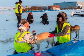 Dropped dog handlers care for a few dropped dogs at Unalakleet on Sunday evening March 11th during the 2018 Iditarod Sled Dog Race -- AlaskaPhoto by Jeff Schultz/SchultzPhoto.com  (C) 2018  ALL RIGHTS RESERVED
