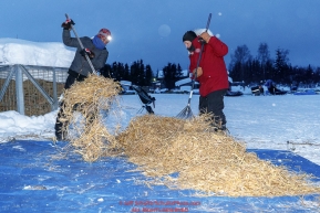Volunteers Amy Graham and Bob Lawson rake used straw at the Kaltag village checkpoint on Sunday morning March 11th during the 2018 Iditarod Sled Dog Race -- AlaskaPhoto by Jeff Schultz/SchultzPhoto.com  (C) 2018  ALL RIGHTS RESERVED