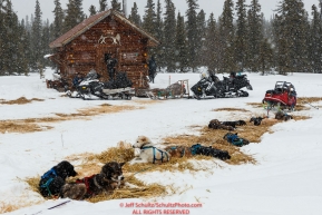 Ed Hopkins team rests at the Old Woman cabin on his run from Kaltag to Unalakleet on Monday evening March 11th during the 2019 Iditarod Trail Sled Dog Race.Photo by Jeff Schultz/  (C) 2019  ALL RIGHTS RESERVED