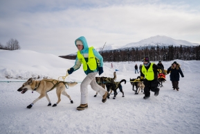 Volunteers lead a dog team up the hill to their parking spot for the day in Takotna, Alaska on March 11, 2020.