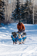 Adam Lindenmuth Leaving Nikolai