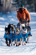 Adam Lindenmuth's Team at Nikolai