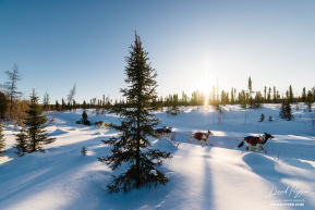 Keaton Loebrich Nearing Ophir