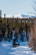 Jesse Terry Near Ophir