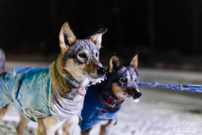 Paige Drobny's Team in Ophir